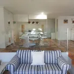 Loft La Petite