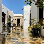 Eco Reyna House