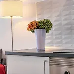 The Ocean View Senator Modern Apartment