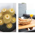 Casa Bleu 2 Floors ,2 Bedrooms ,Equipped Kitchen ,Balcony ,Terrace And Grill