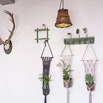 Casa Botanica - Central Island Location - 10 Mins Drive To Famara And La Santa