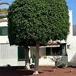 Casa Oasi