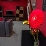 Malvasia House