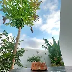Jardin Del Mar