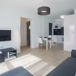 Flower Beach Suite 8