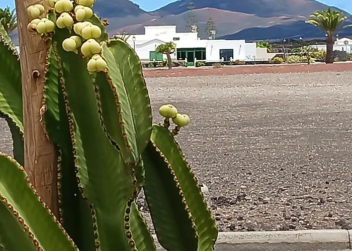 Casa Los Volcanes