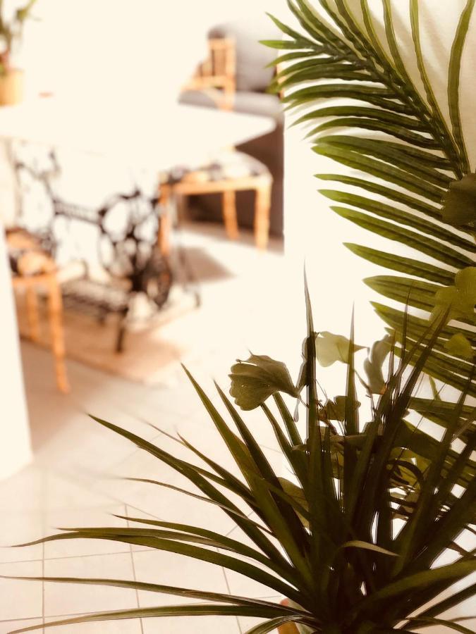 Holiday home Cuarto Botanico
