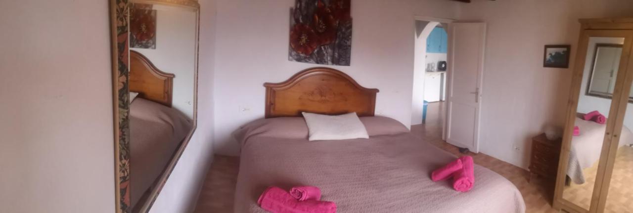 Casita De Gato