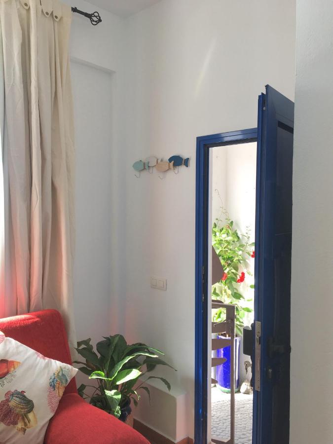Estudio Del Pescado En El Charco Arrecife (Lanzarote)