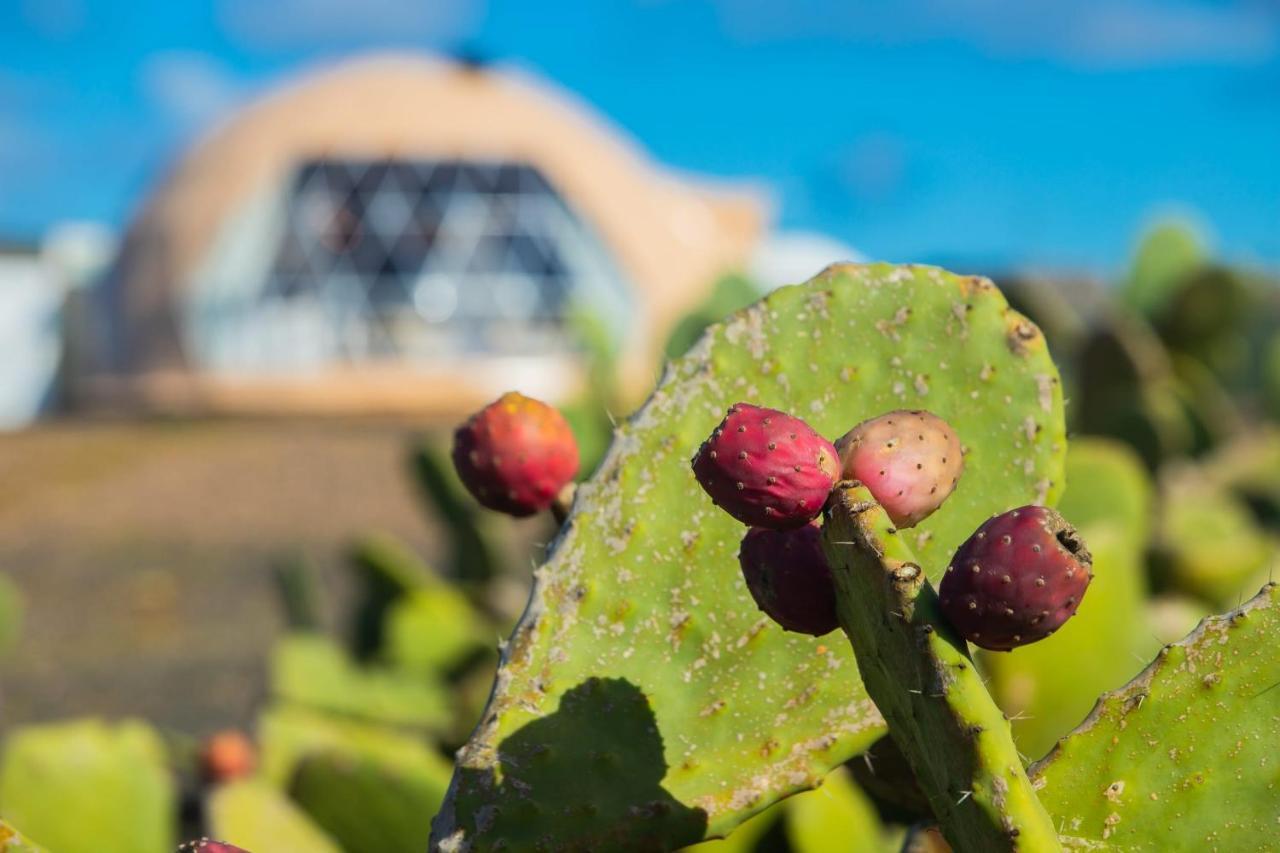 Eslanzarote Luxurious Eco Dome Experience Holiday park