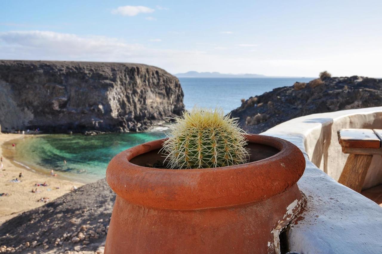 Abeto * Yaiza (Lanzarote)