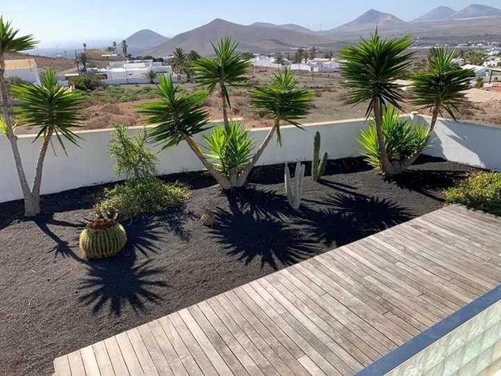 Villa El Erizo *