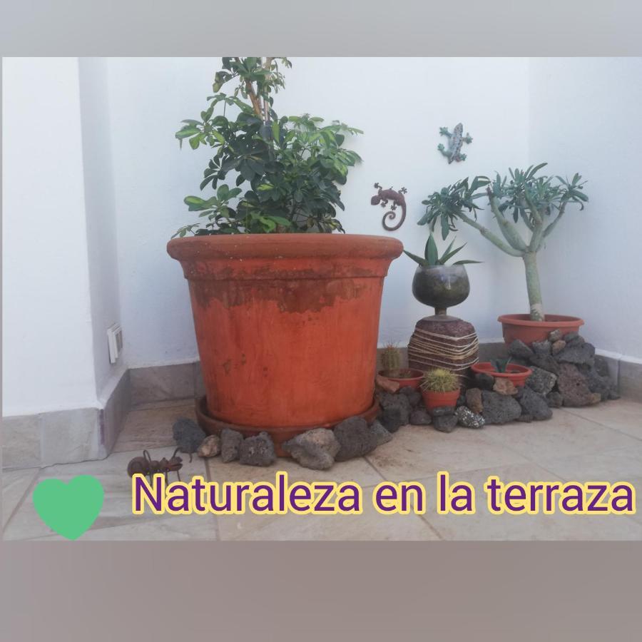 For Lanzarote Holidays House Apartment