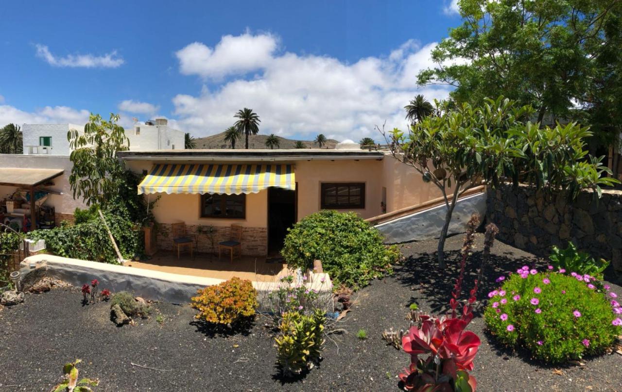 Casa Palmera Y Casa Dátil Haría