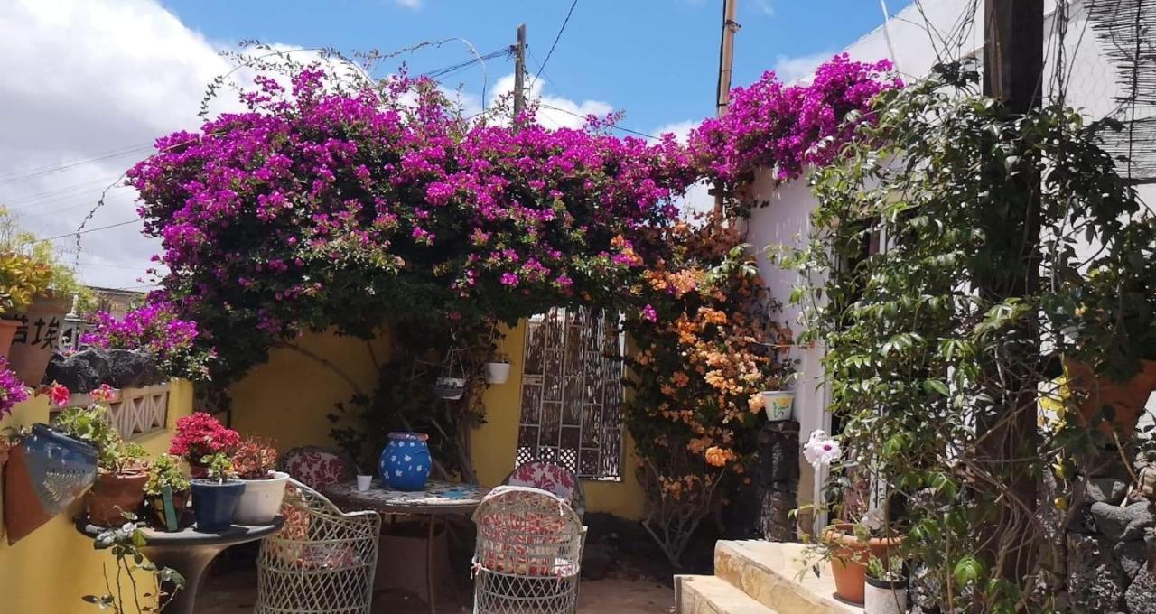 Casa De Gato Rustic Tahiche
