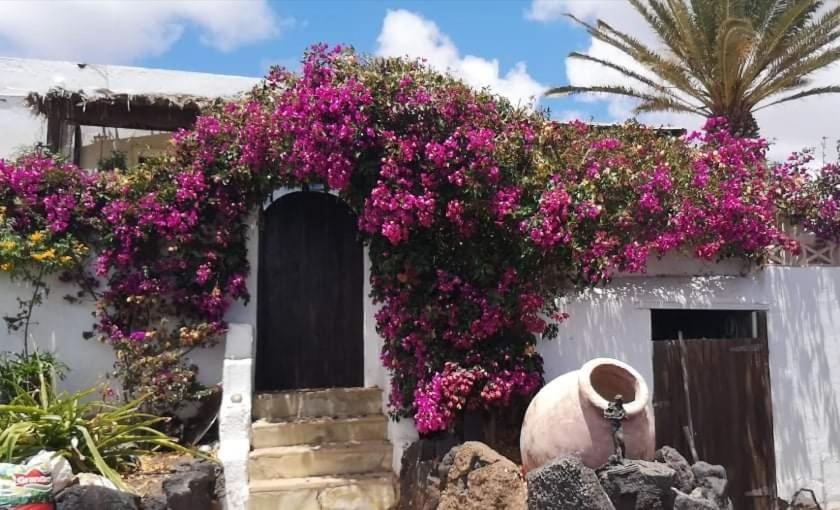 Сasa de vacaciones Casa De Gato Rustic