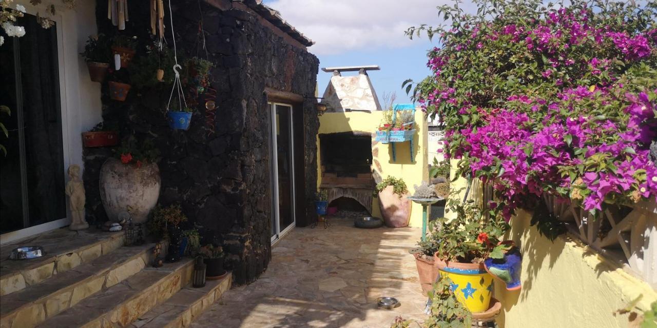 Casa De Gato Rustic *