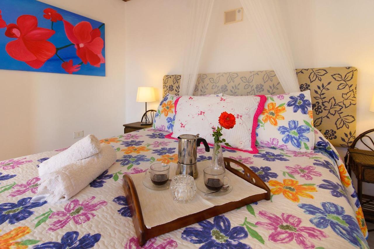 Casa Clara 3