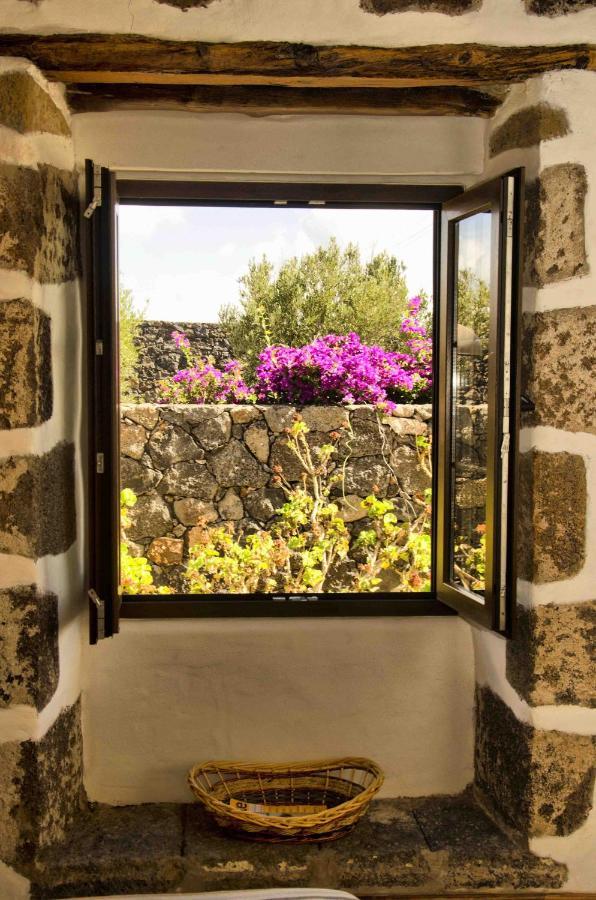 Casa Olivos *