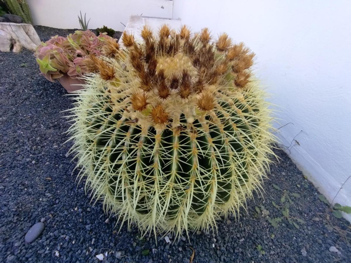 Mandala * Tías