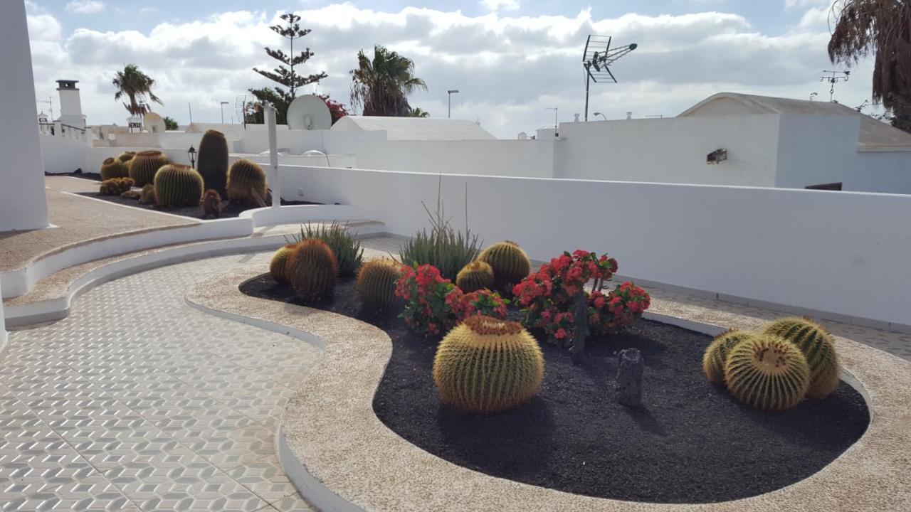 Panelo Cactus Puerto del Carmen (Lanzarote)