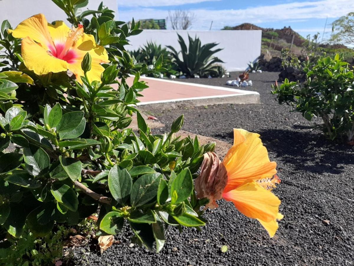 Country house Loft La Tahonilla