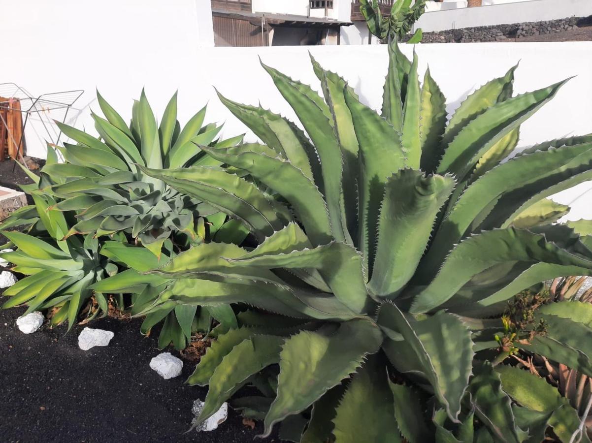 Country house Loft La Tahonilla *