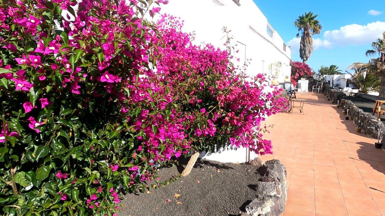 Rosa Eden Apartamento