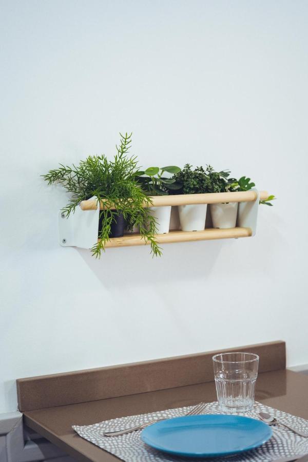 Coast Apartment *