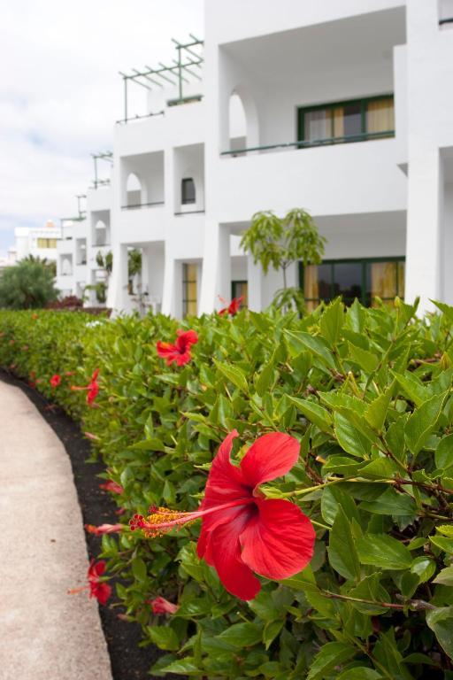 Club Siroco (adults Only) Apartamento