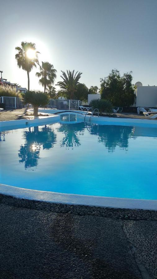 Tabaibas Puerto del Carmen (Lanzarote)