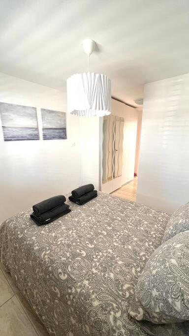 Casa Teddy - And Modern One Bedroom Apartment *