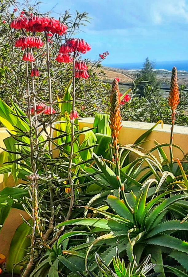 Casitas Country house