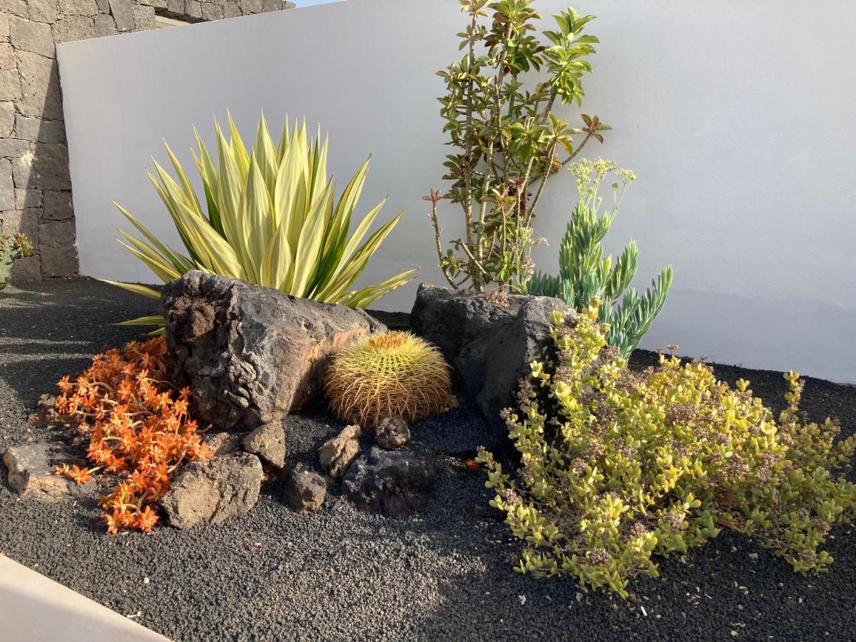 Casa Alice * Playa Blanca (Lanzarote)