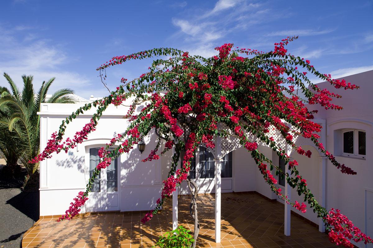 Livvo Coloradamar * Playa Blanca (Lanzarote)
