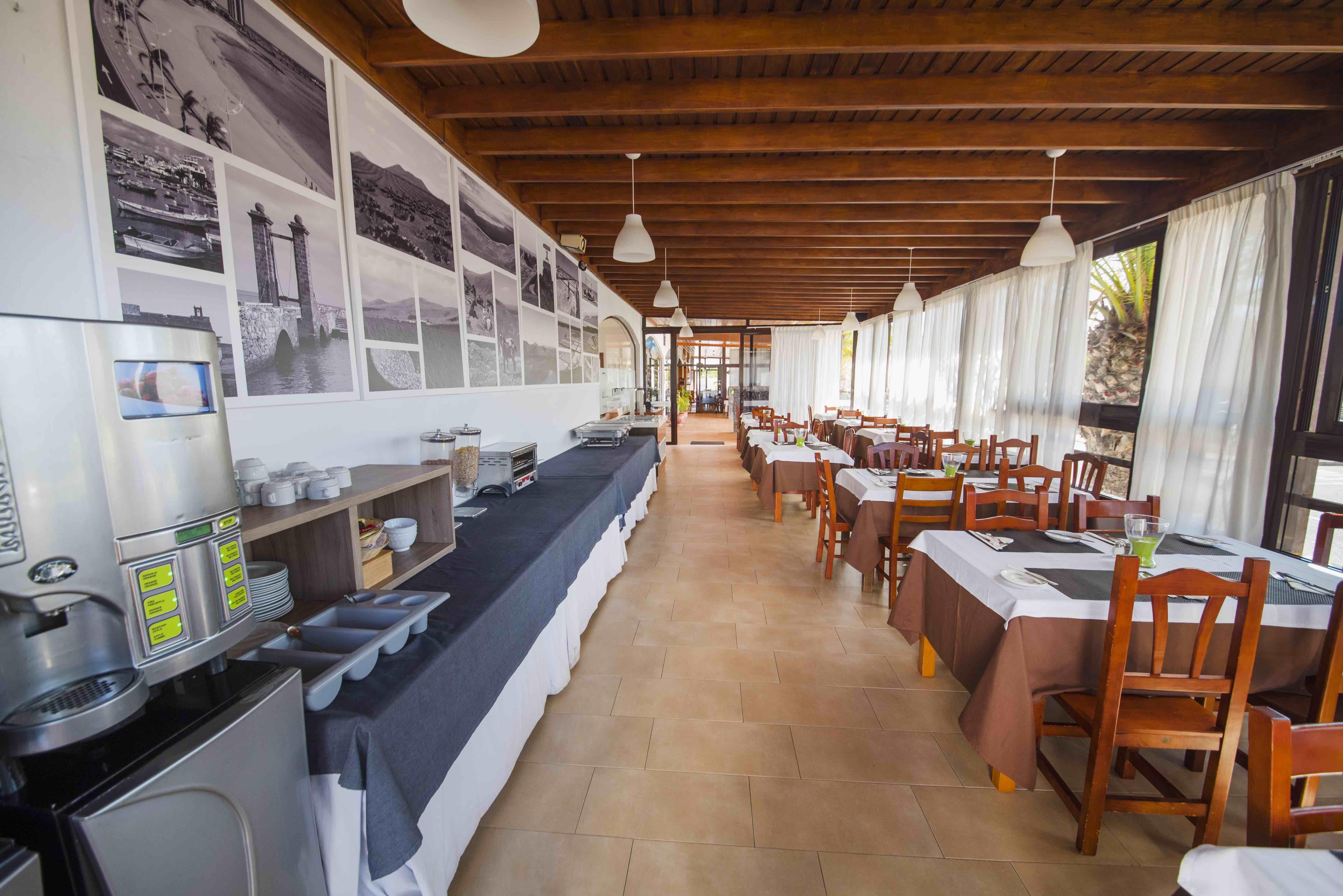 Tabaiba * Costa Teguise