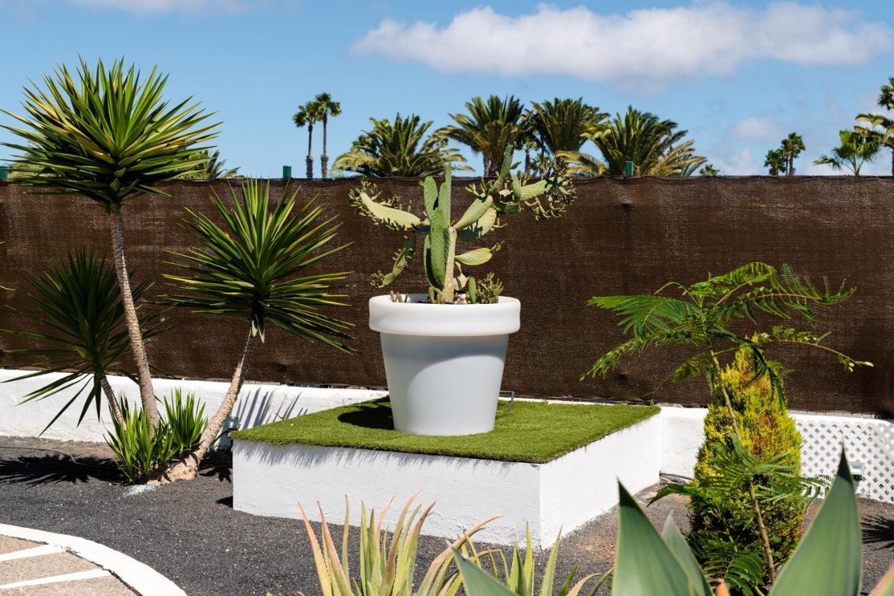 Villa New Lanzasuites Playa Blanca (Lanzarote)