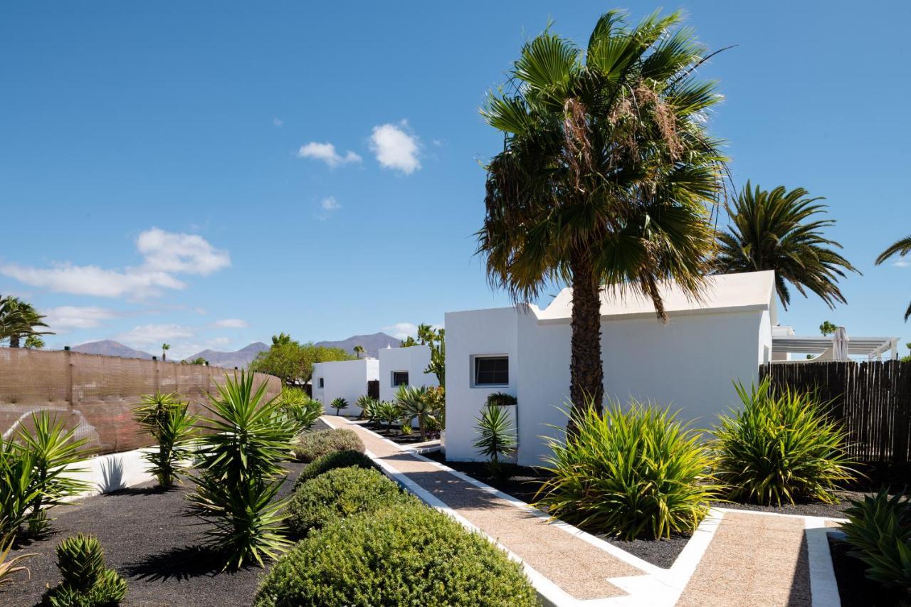 New Lanzasuites * Playa Blanca (Lanzarote)