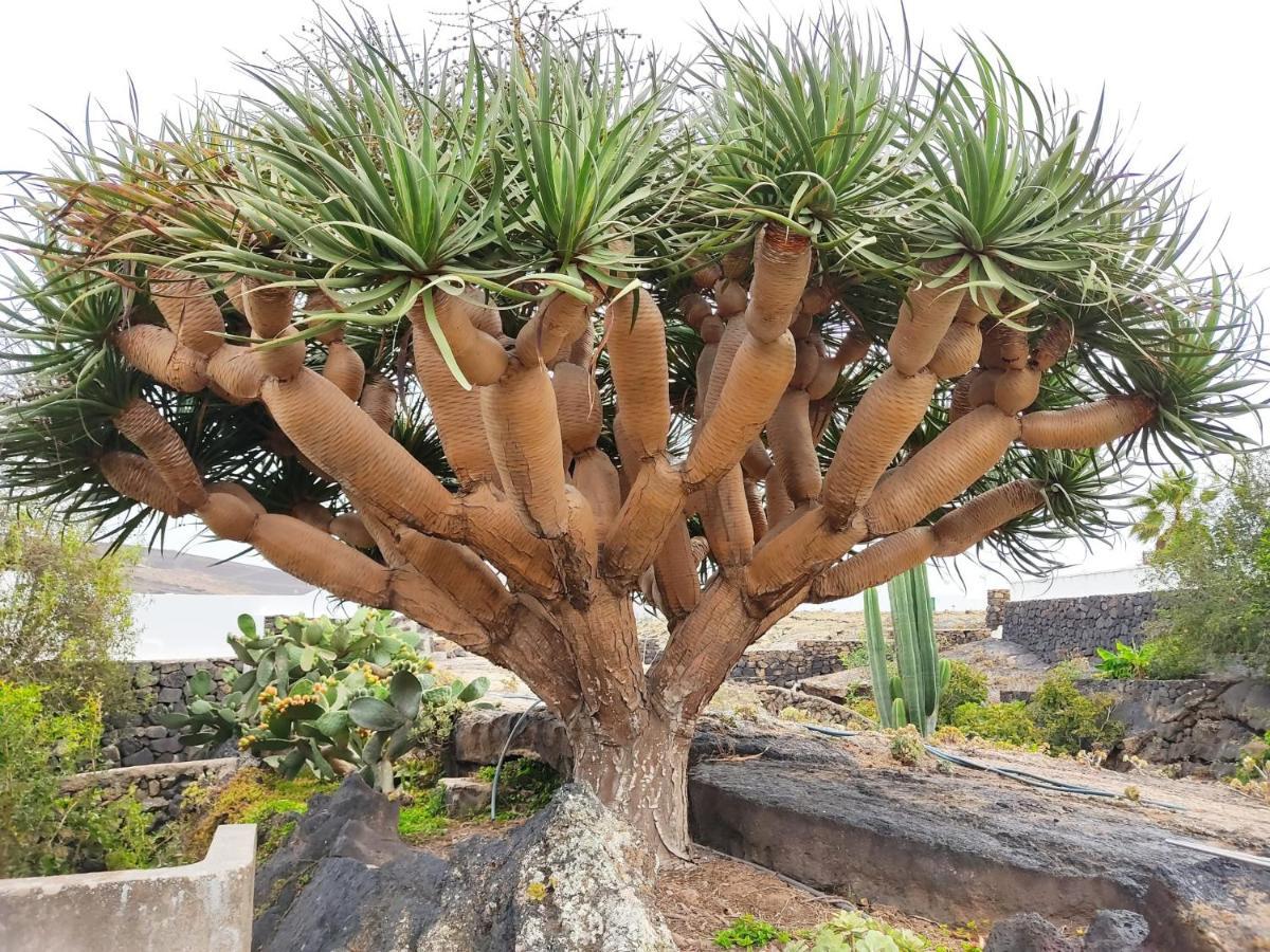Casa Ico Lanzarote Сasa de vacaciones Tías