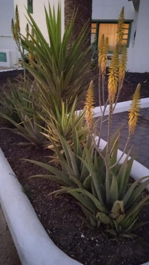 Blue View Hermoso Remodelado Ubicacion Ideal Aparthotel Costa Teguise