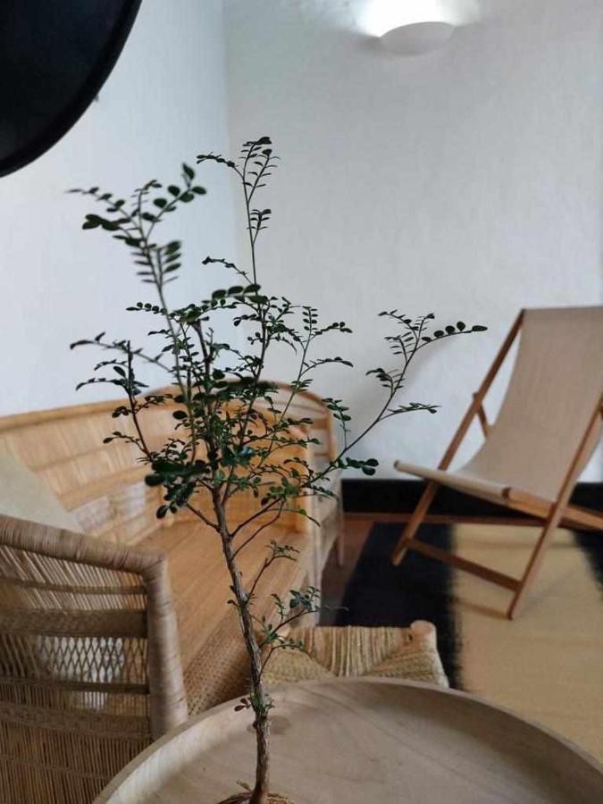Casa Yooj Designers House In Teguise Teguise (Lanzarote)