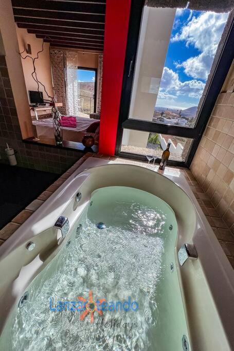Casa Erizo Adults Only