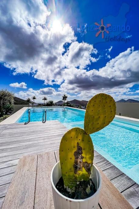 Villa Casa Erizo Adults Only
