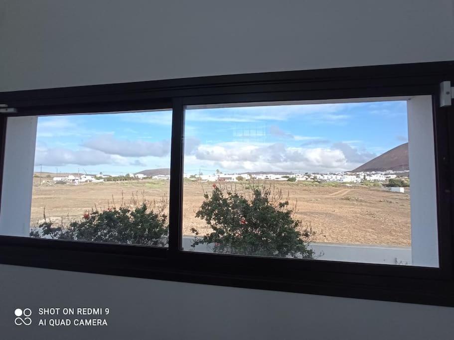 Gehidy Teguise (Lanzarote)