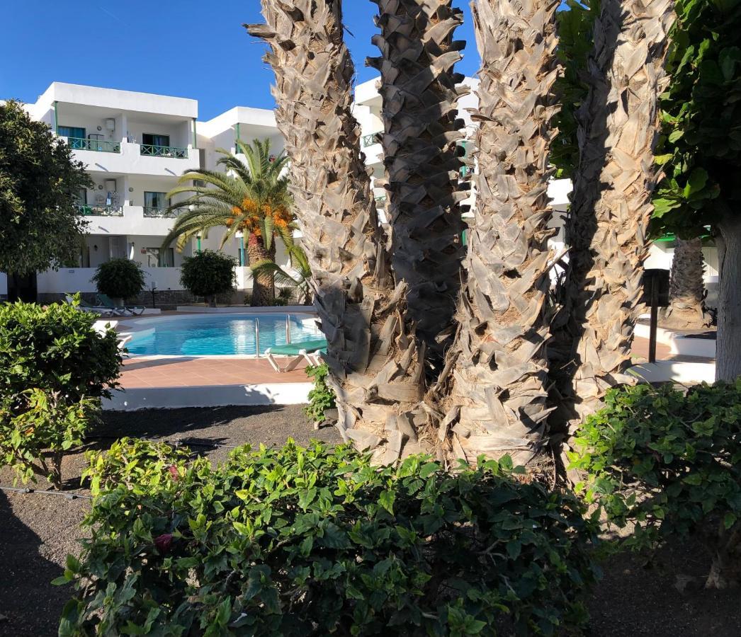 Sonia Costa Teguise