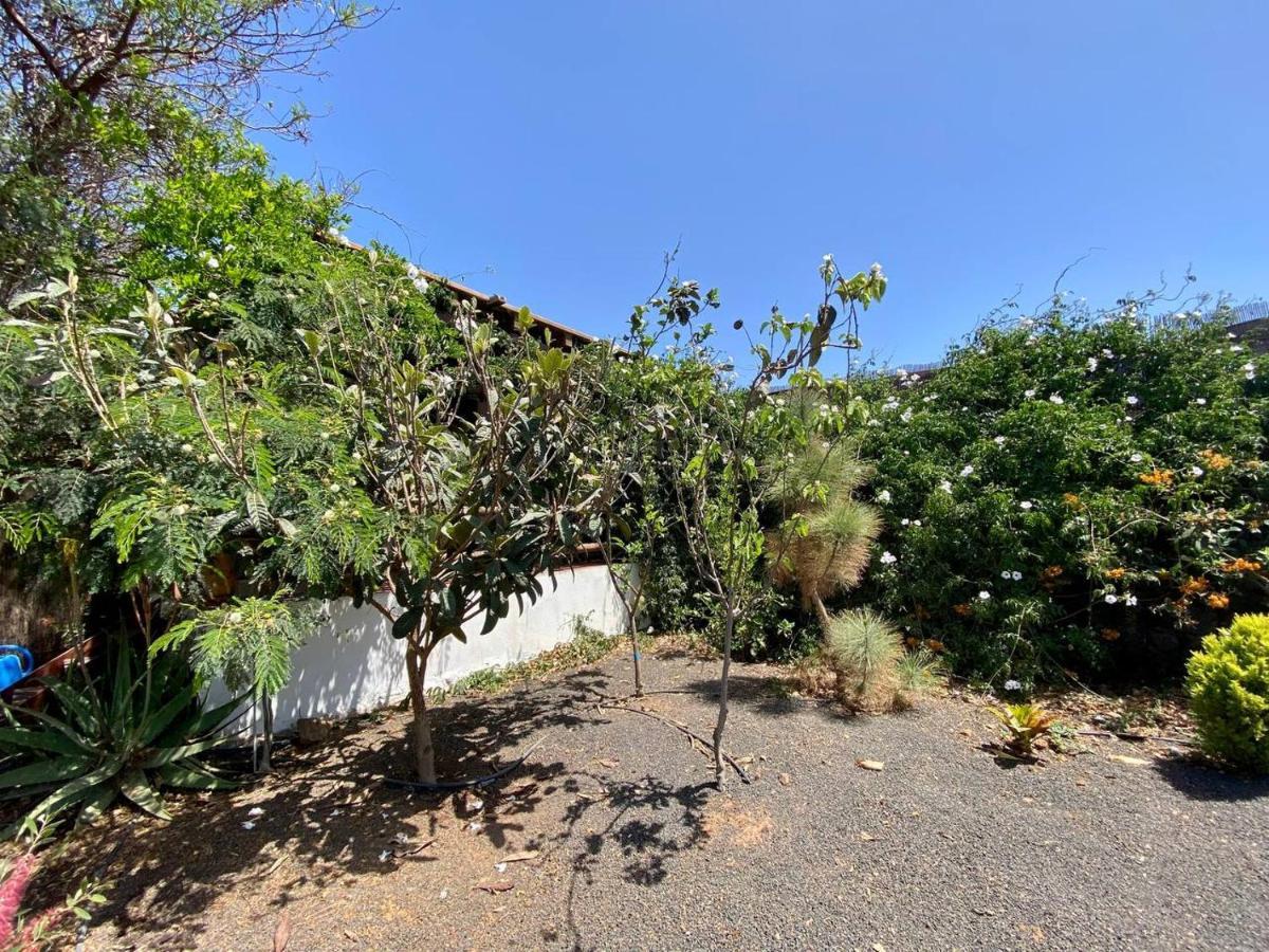 Cabanalanz, En Lanzarote Campsite San Bartolome (Las Palmas)