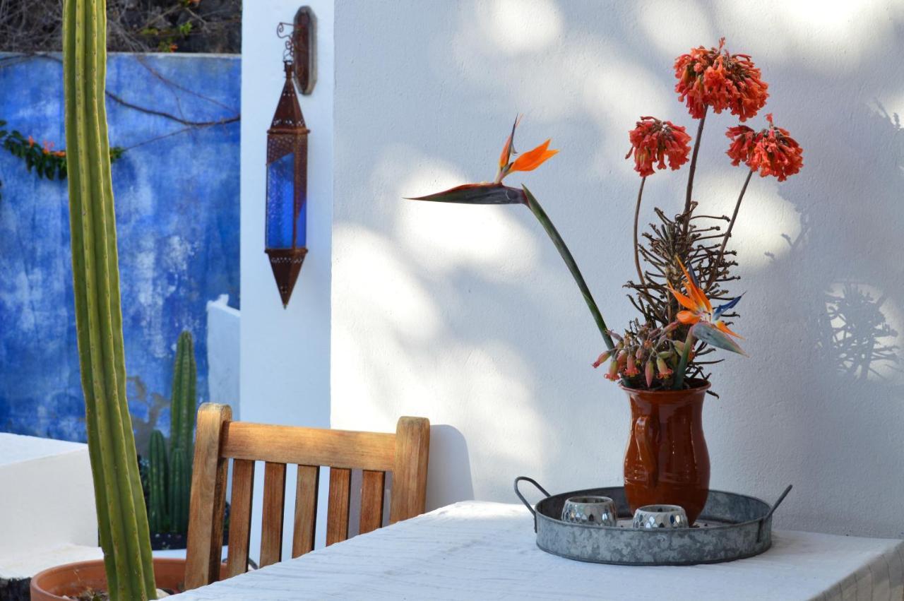 Сasa de vacaciones Stylish House In A Real With Private Garden