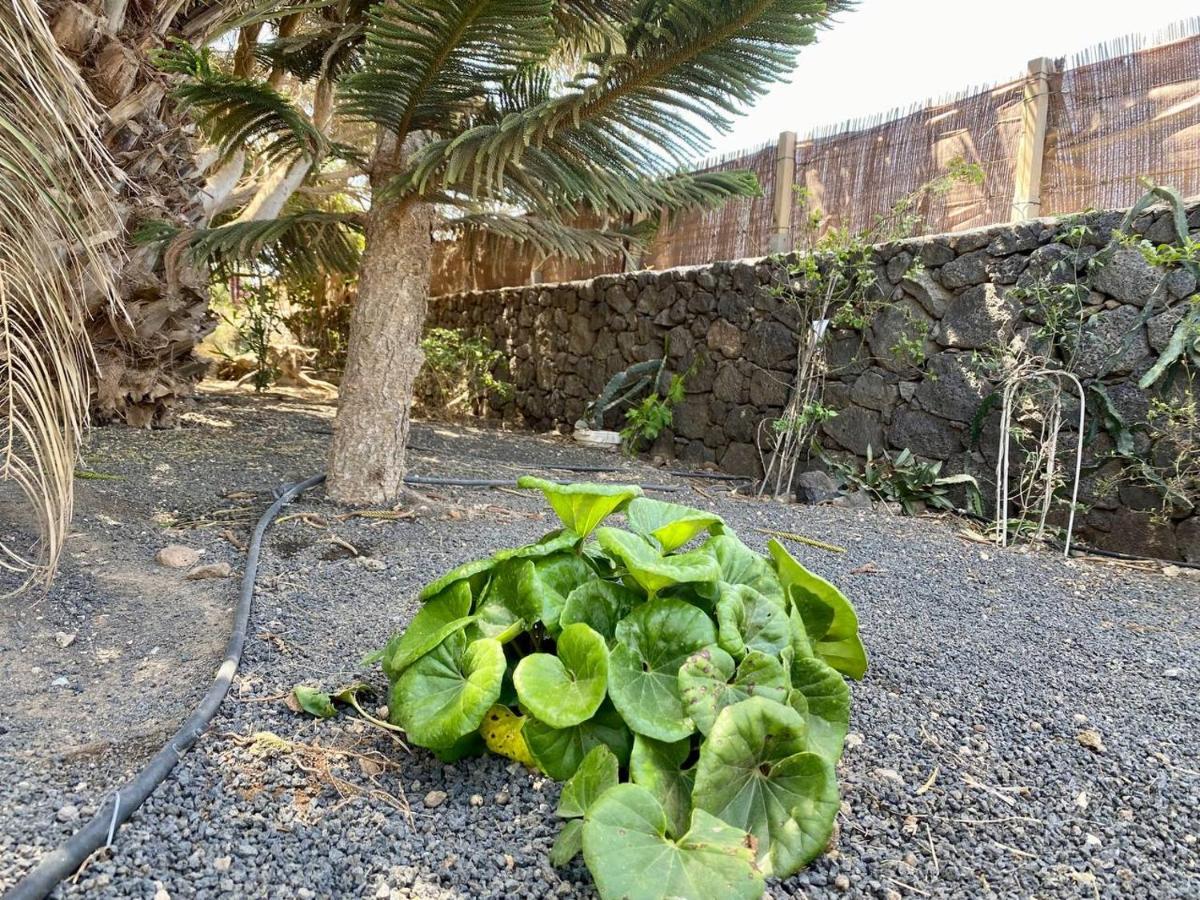Cabanalanz, En Lanzarote Campsite San Bartolome (Las Palmas)