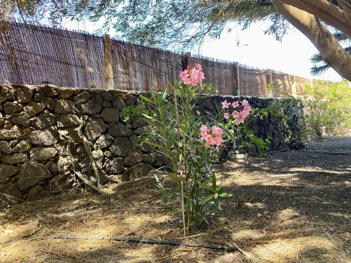 Campsite Cabanalanz, En Lanzarote San Bartolome (Las Palmas)