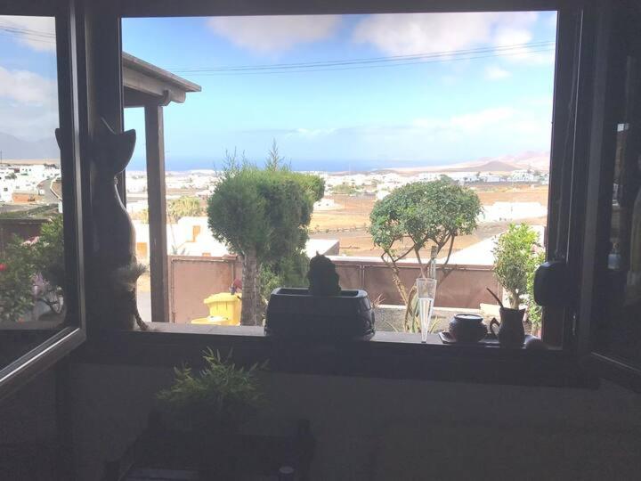 Lanzate! Guest house *